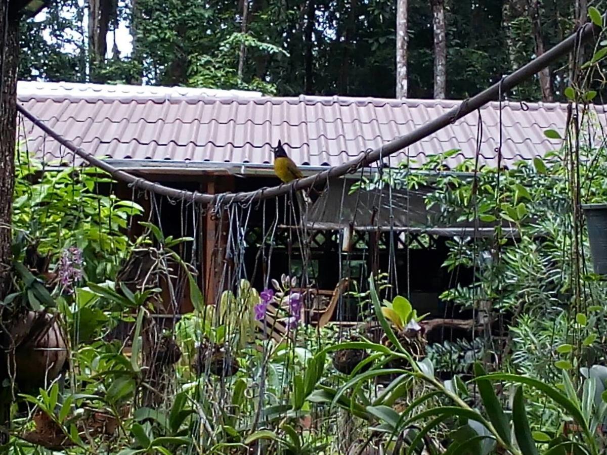 Koh Kood Little Hut Otel Ko Kut Dış mekan fotoğraf