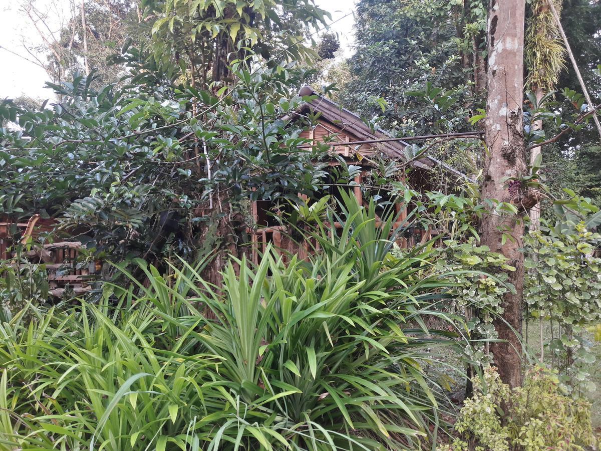 Koh Kood Little Hut Otel Ko Kut Dış mekan fotoğraf