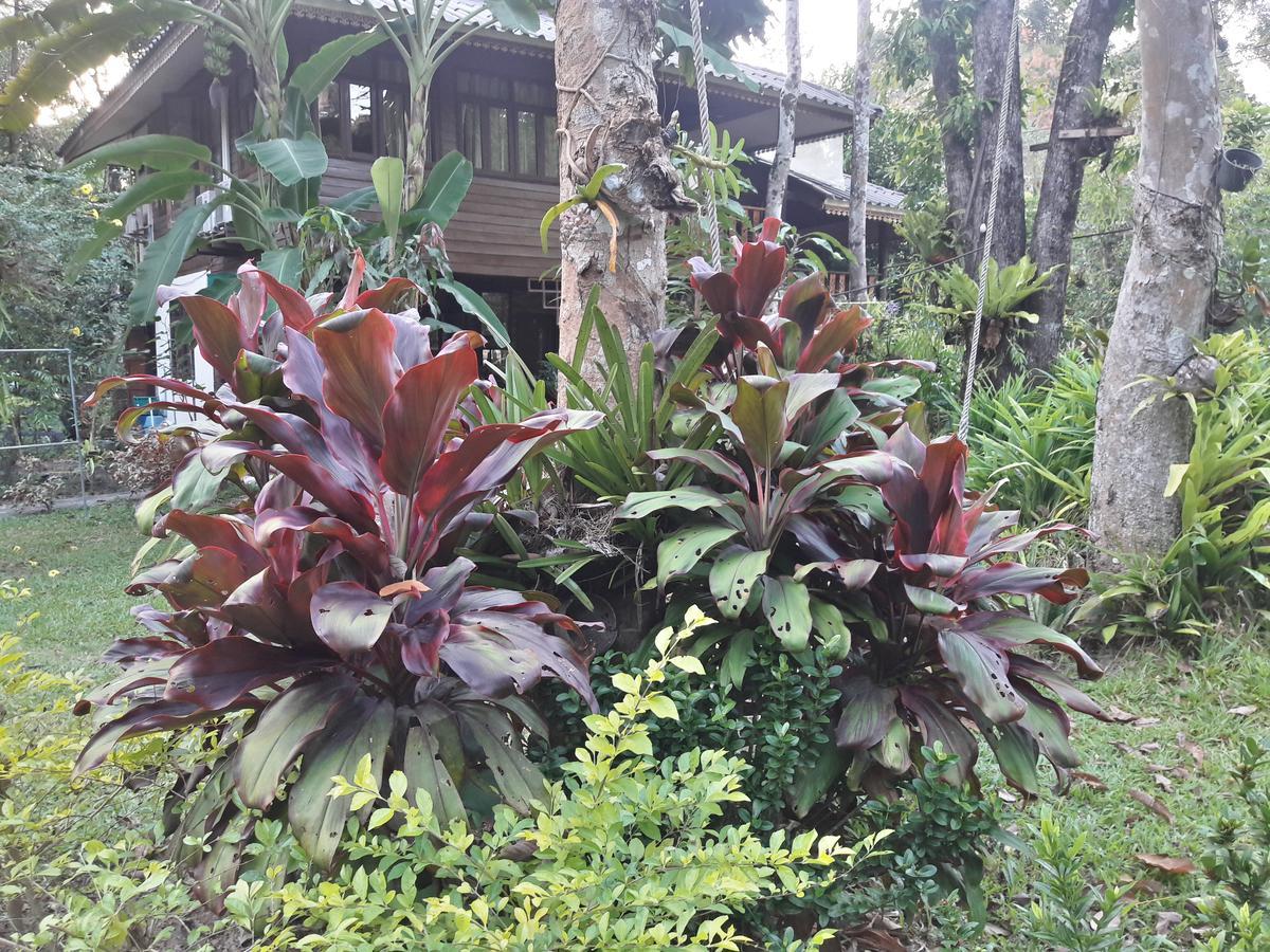 Koh Kood Little Hut Otel Ko Kut Dış mekan fotoğraf
